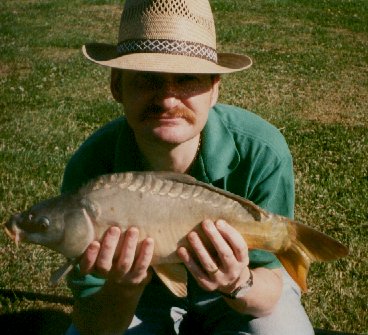 Carp on a summers day